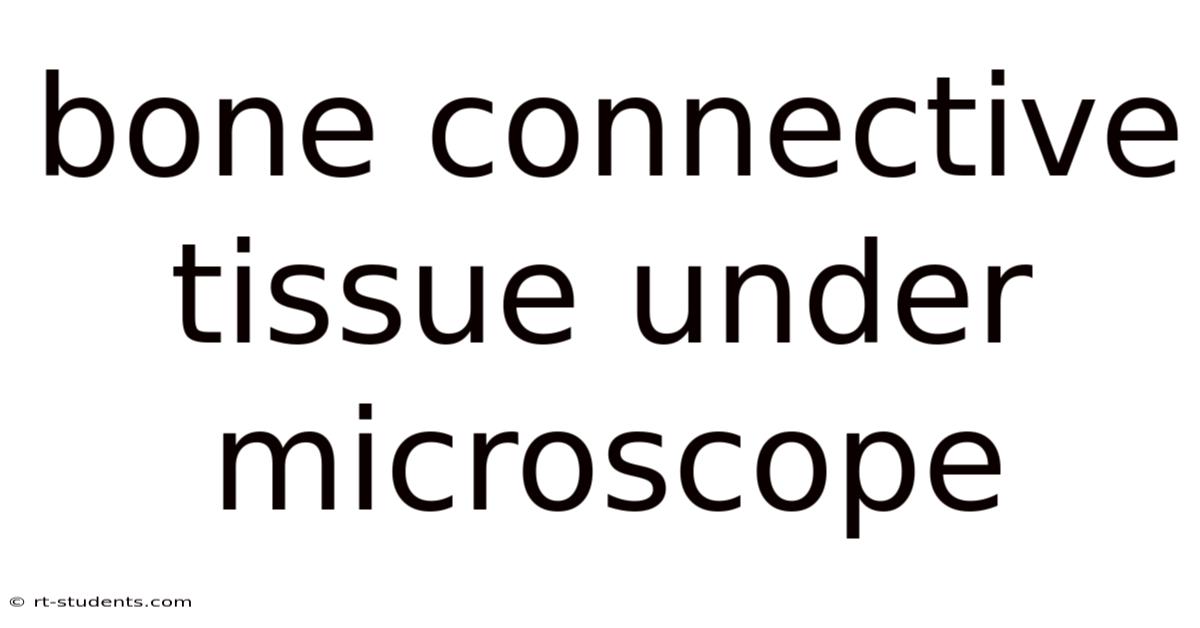 Bone Connective Tissue Under Microscope