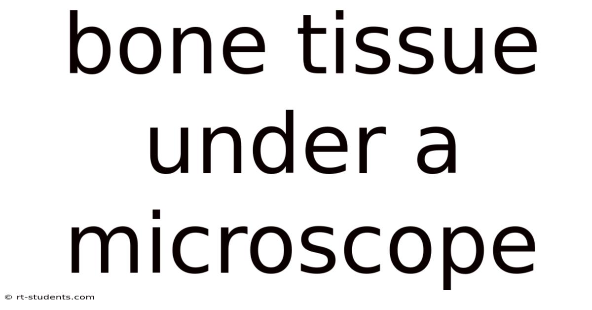 Bone Tissue Under A Microscope