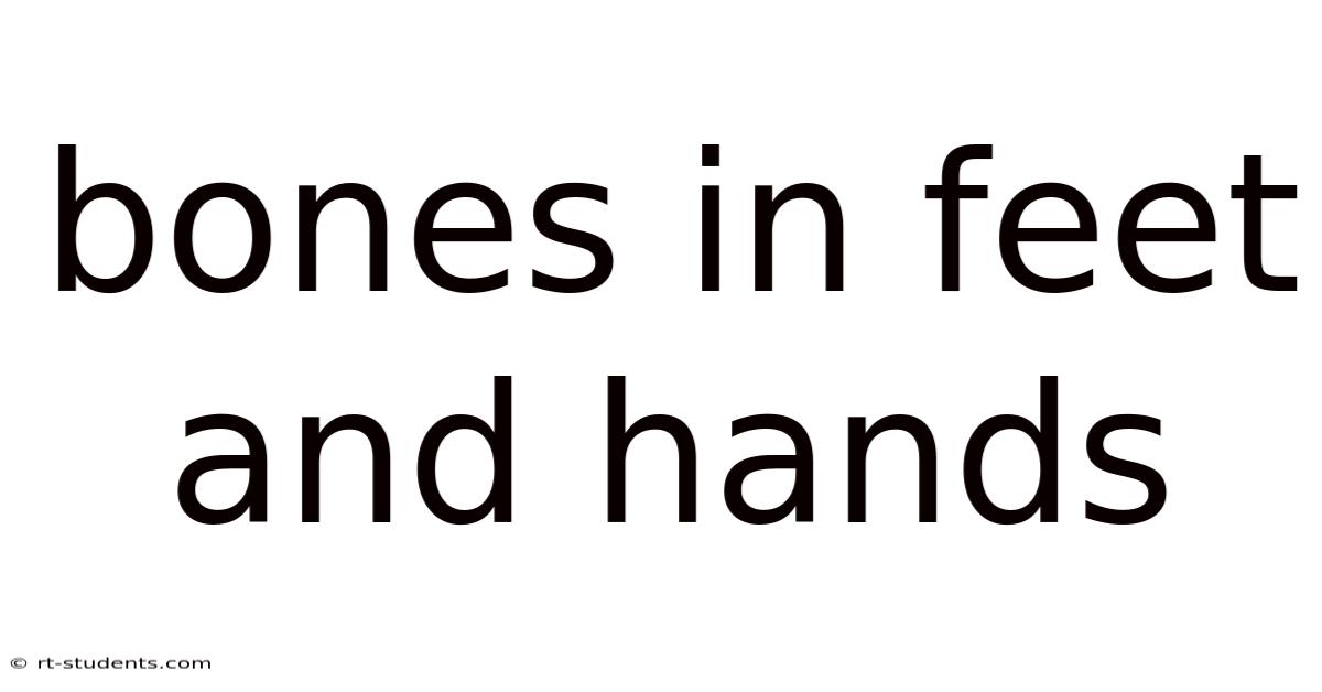 Bones In Feet And Hands