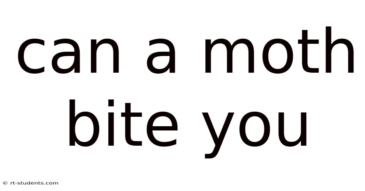 Can A Moth Bite You