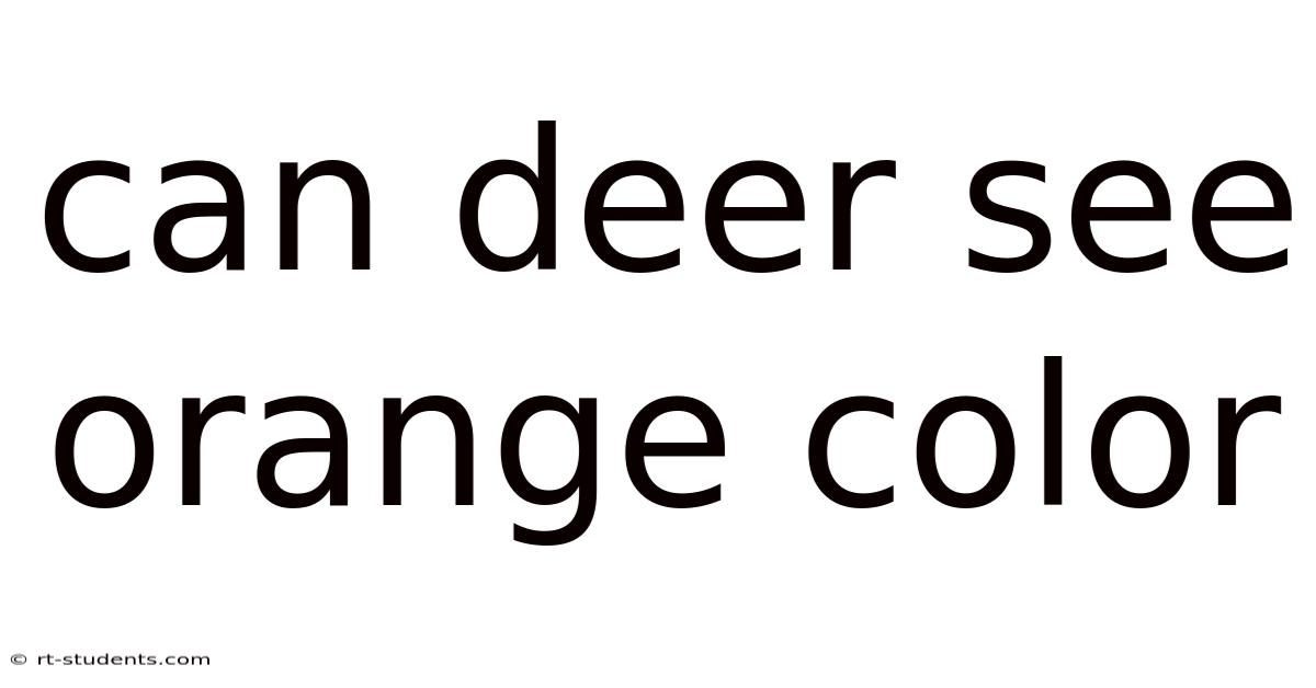 Can Deer See Orange Color