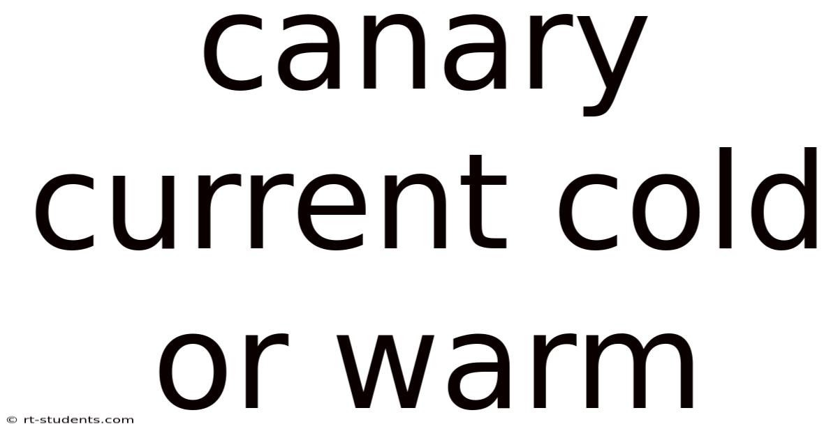 Canary Current Cold Or Warm