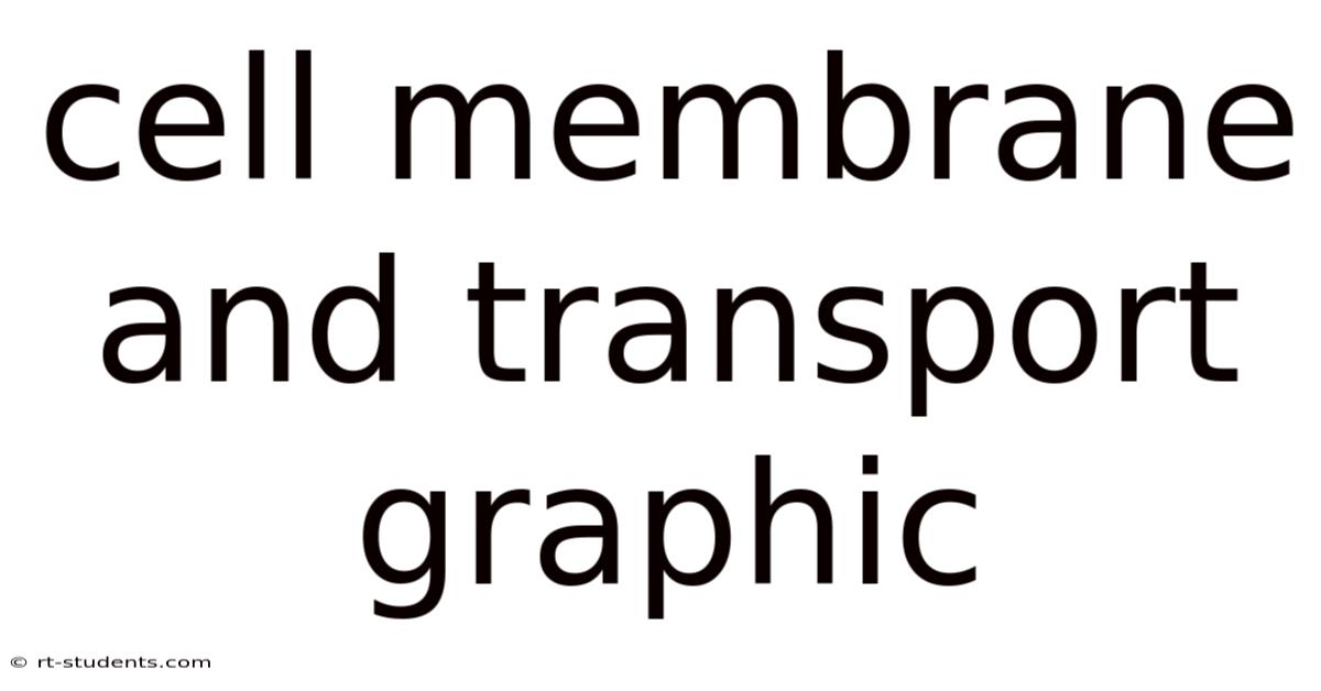 Cell Membrane And Transport Graphic
