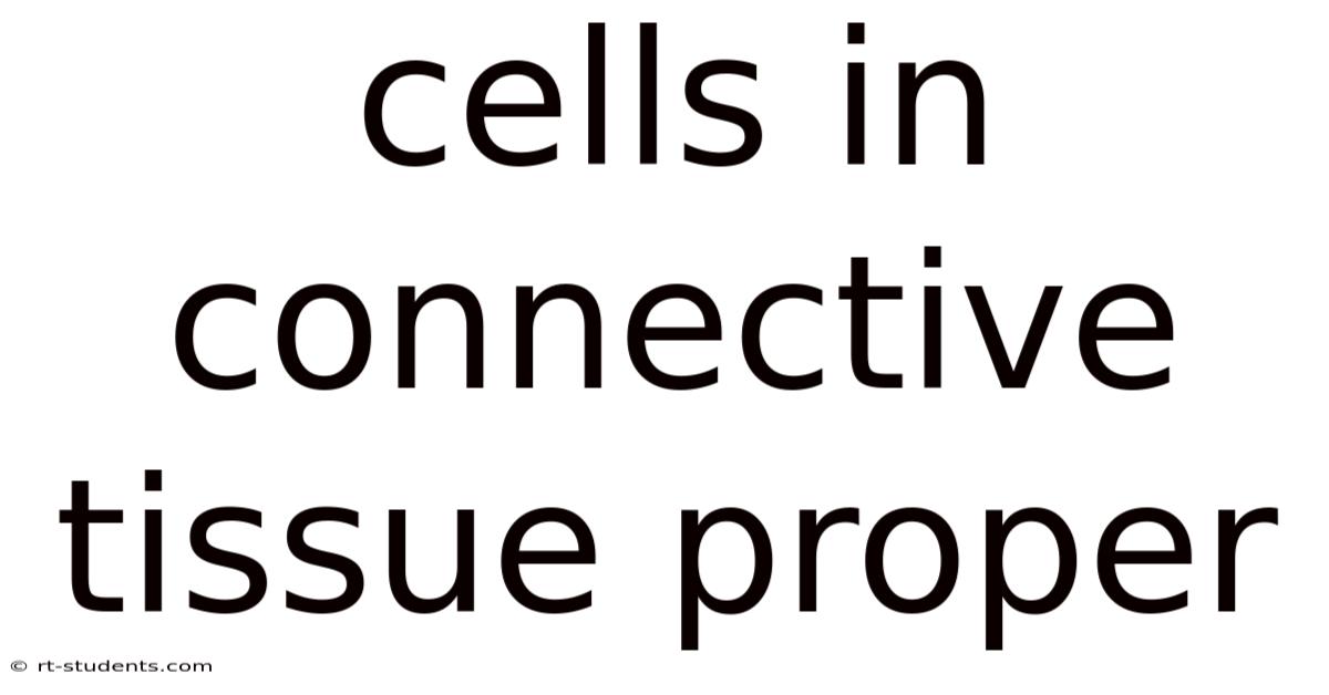 Cells In Connective Tissue Proper