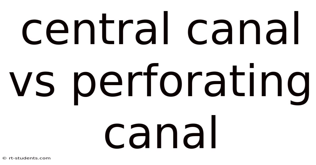 Central Canal Vs Perforating Canal