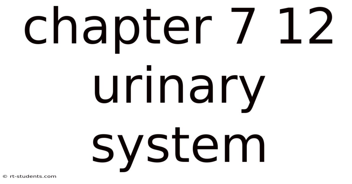 Chapter 7 12 Urinary System