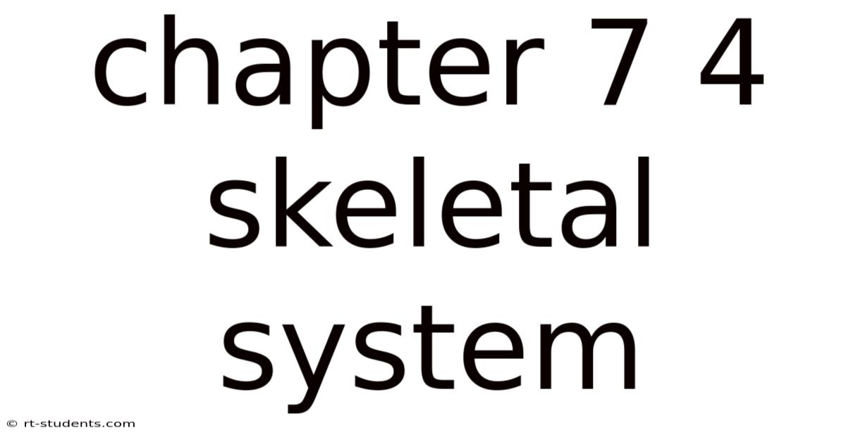 Chapter 7 4 Skeletal System