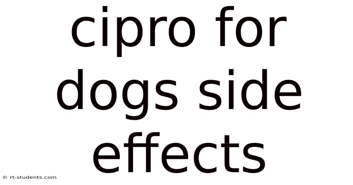 Cipro For Dogs Side Effects