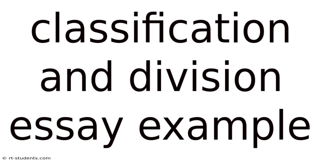 Classification And Division Essay Example