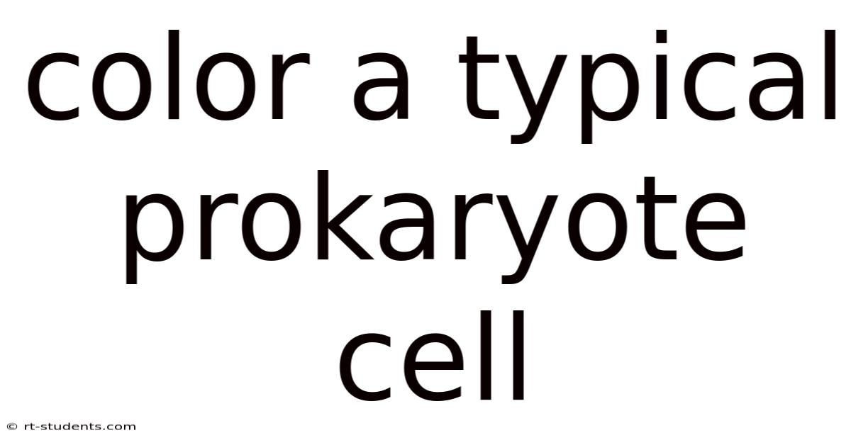 Color A Typical Prokaryote Cell