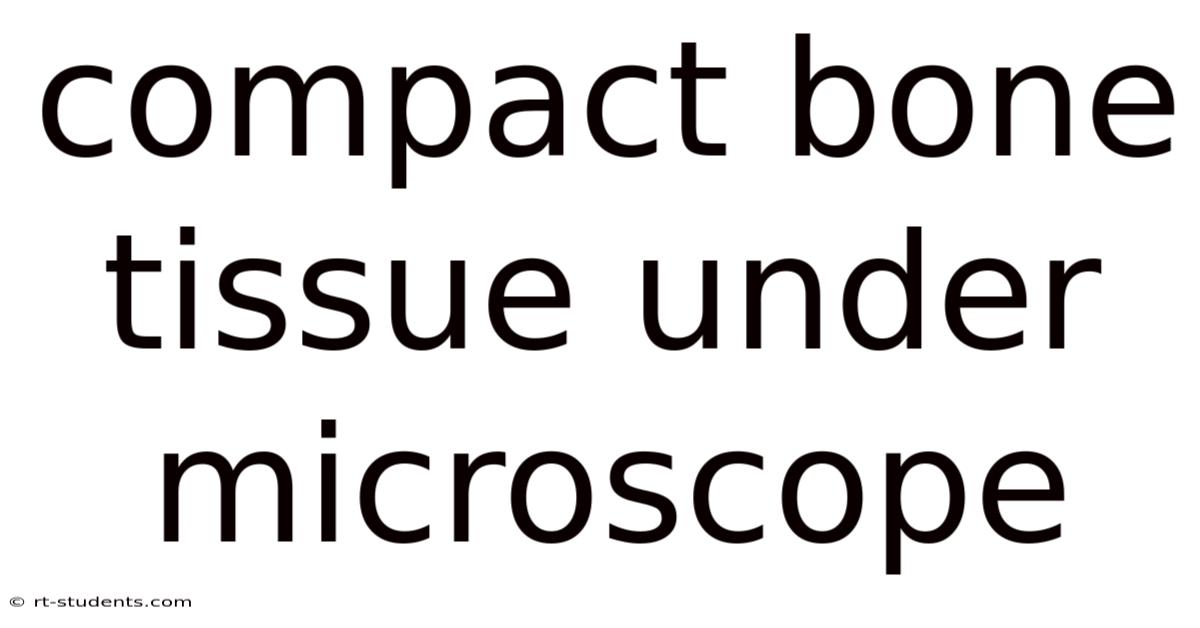 Compact Bone Tissue Under Microscope
