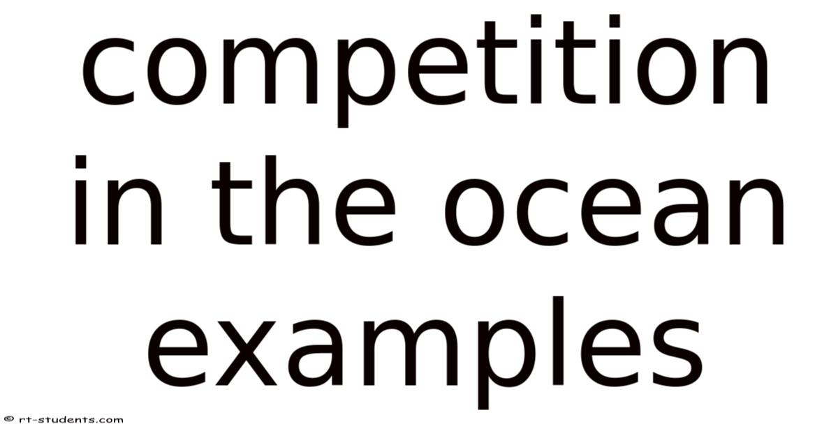 Competition In The Ocean Examples