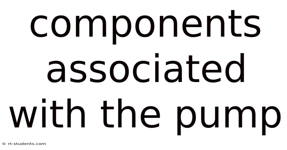 Components Associated With The Pump