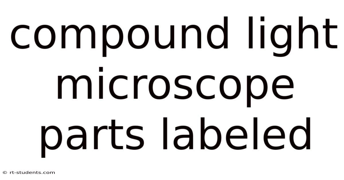 Compound Light Microscope Parts Labeled