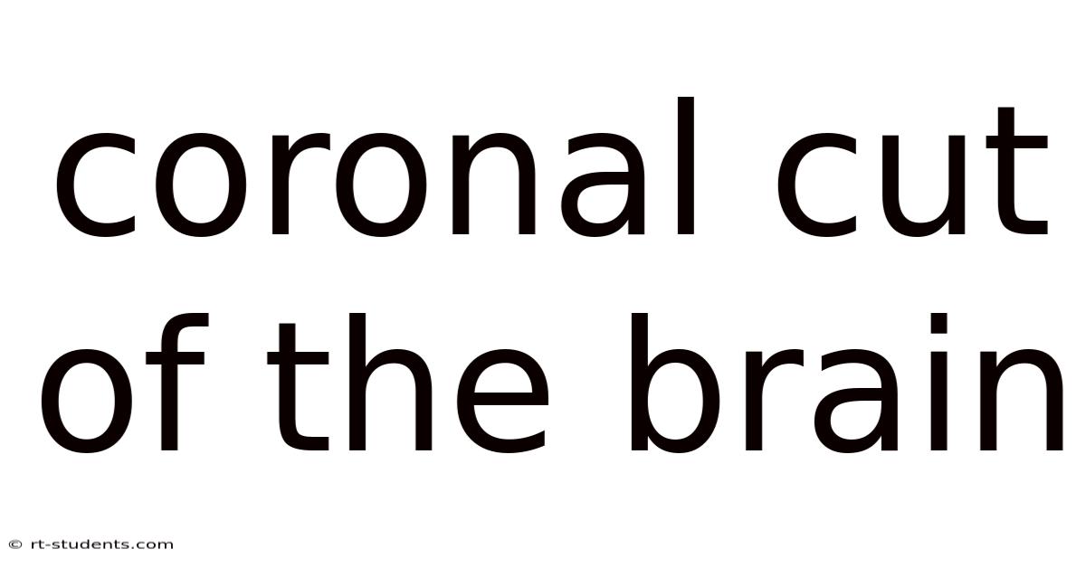 Coronal Cut Of The Brain