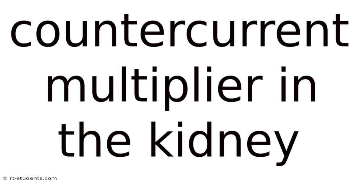 Countercurrent Multiplier In The Kidney