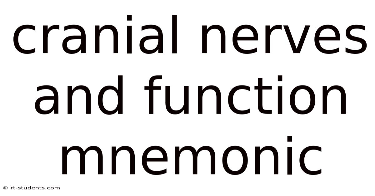 Cranial Nerves And Function Mnemonic