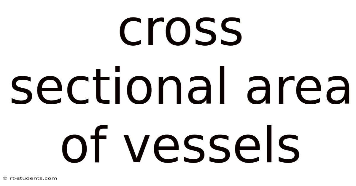 Cross Sectional Area Of Vessels