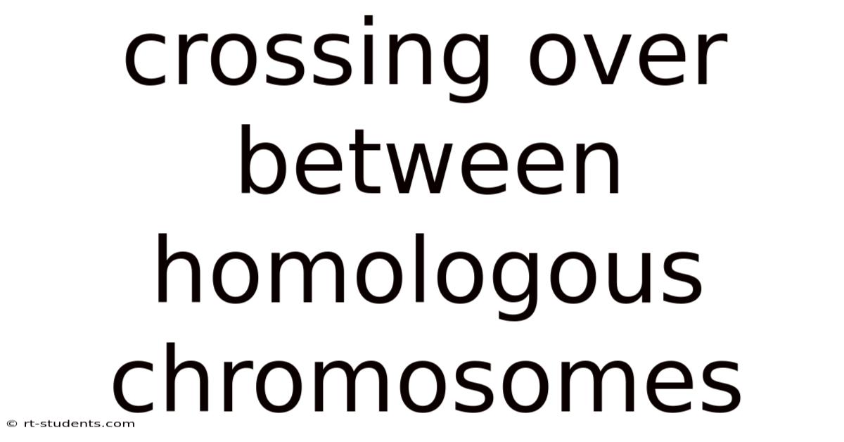 Crossing Over Between Homologous Chromosomes