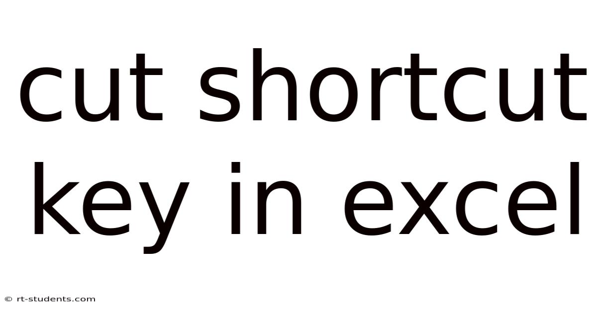 Cut Shortcut Key In Excel