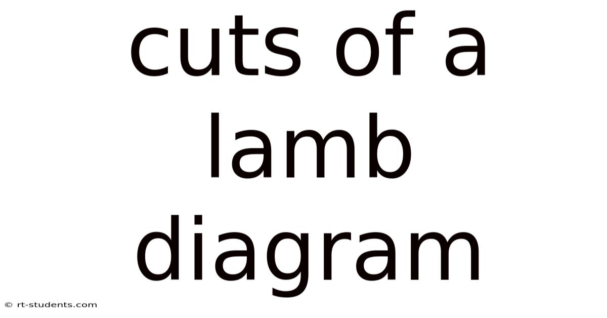 Cuts Of A Lamb Diagram