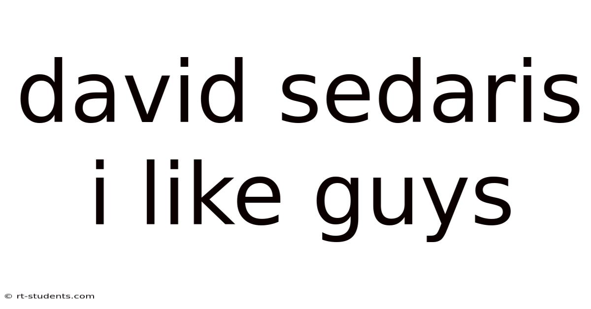 David Sedaris I Like Guys