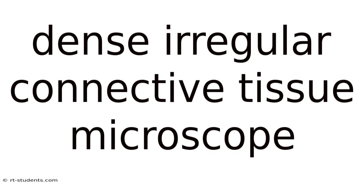 Dense Irregular Connective Tissue Microscope