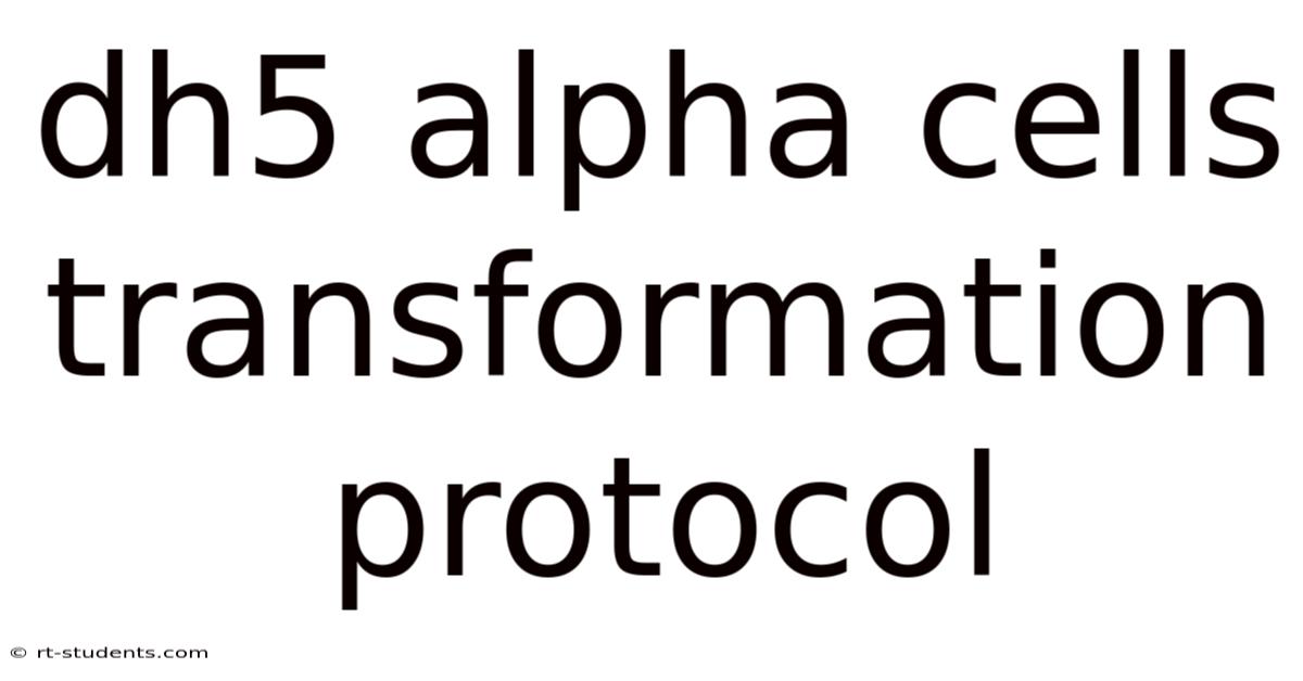 Dh5 Alpha Cells Transformation Protocol