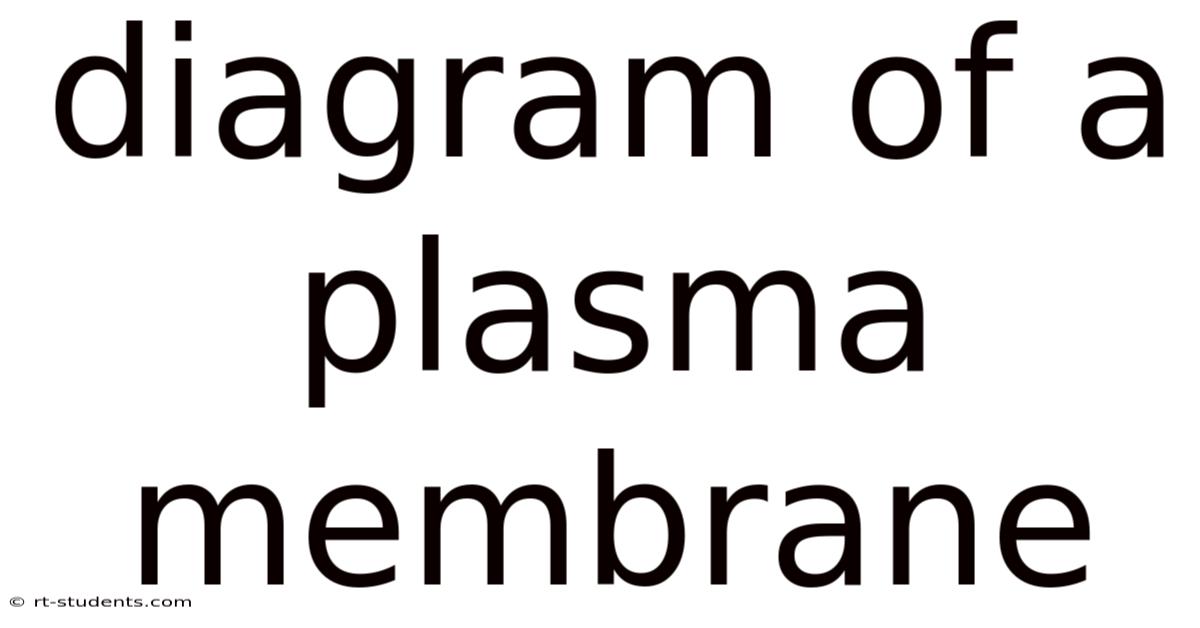 Diagram Of A Plasma Membrane