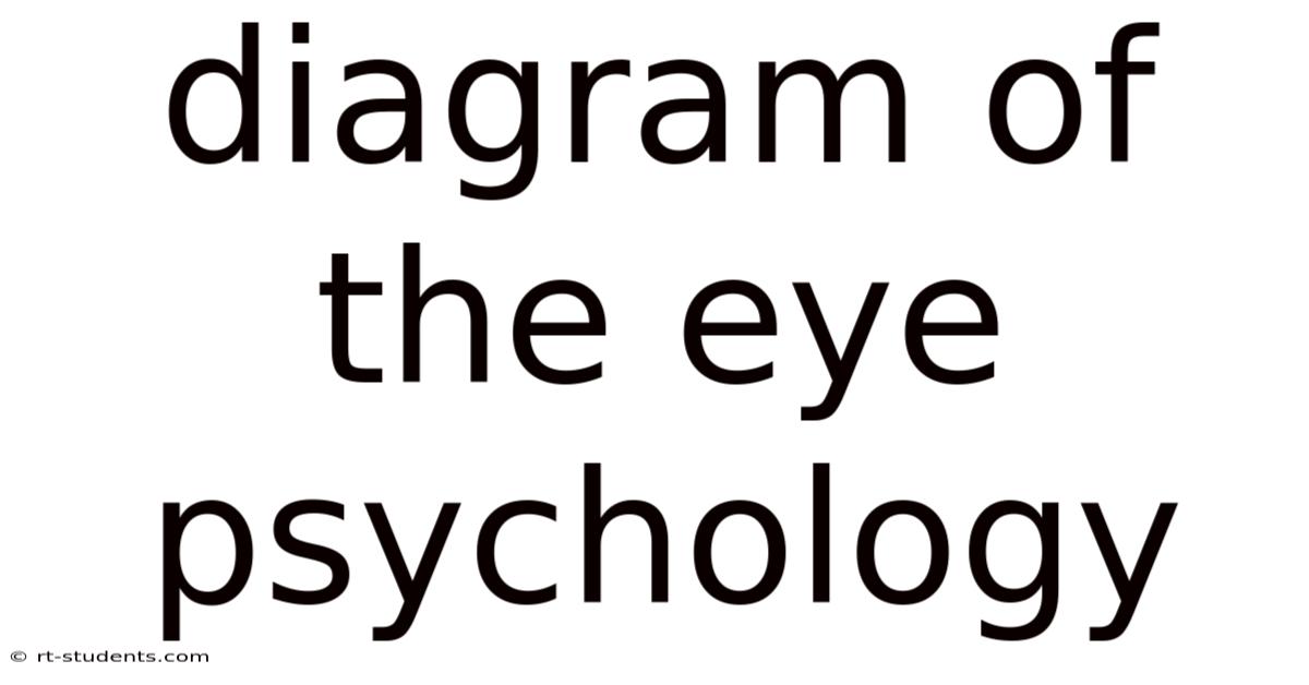 Diagram Of The Eye Psychology