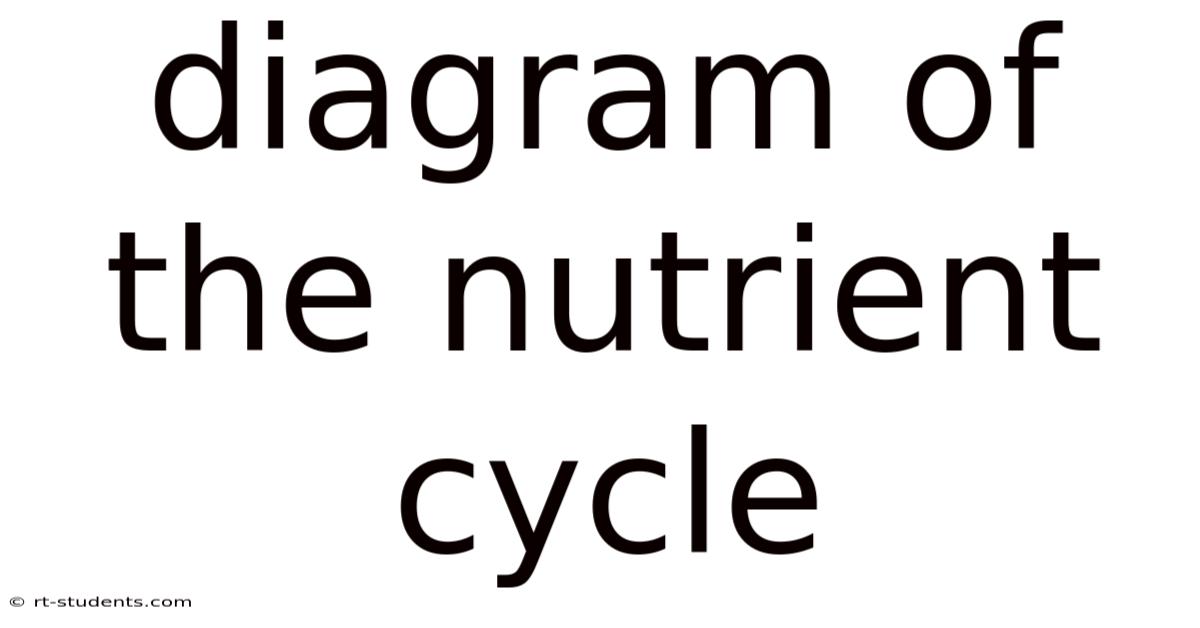 Diagram Of The Nutrient Cycle
