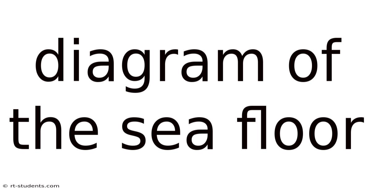 Diagram Of The Sea Floor