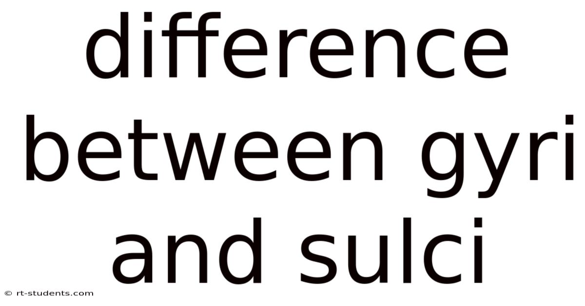 Difference Between Gyri And Sulci
