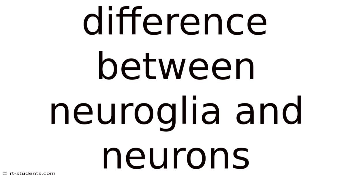 Difference Between Neuroglia And Neurons