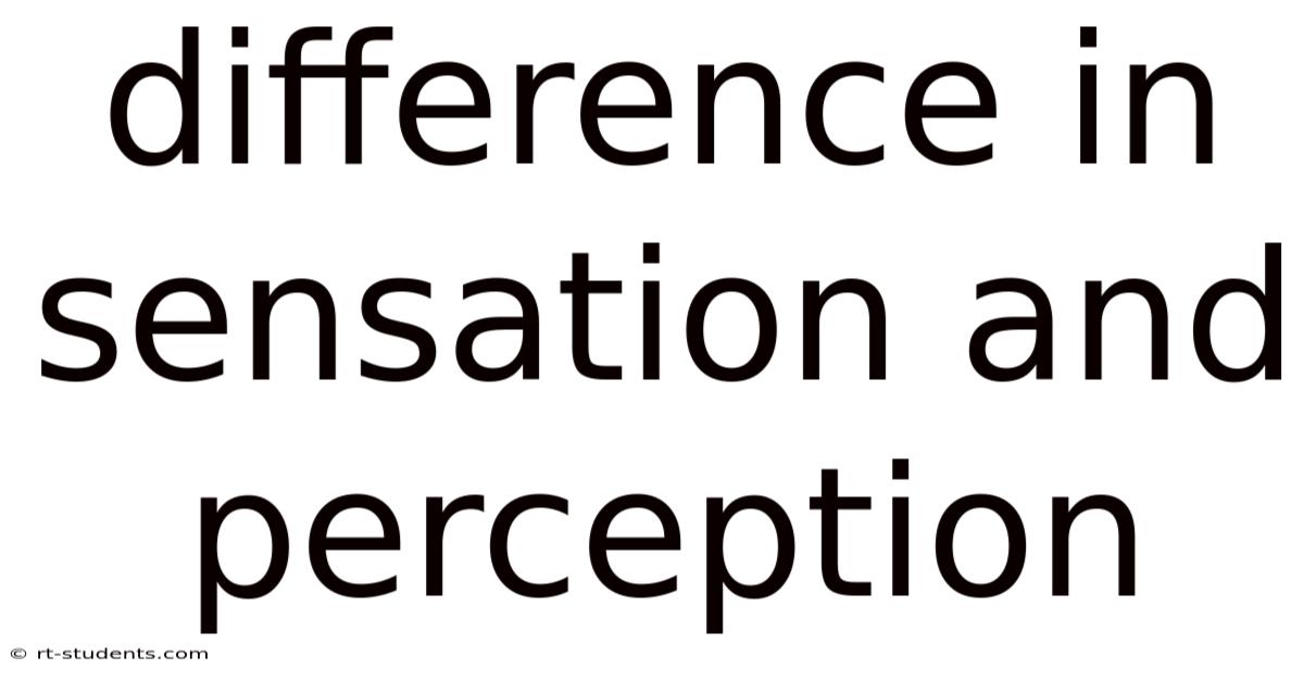 Difference In Sensation And Perception