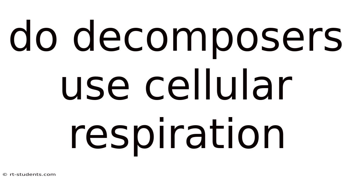 Do Decomposers Use Cellular Respiration