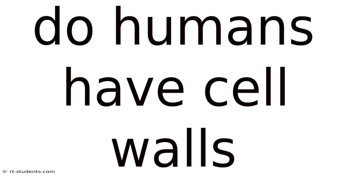 Do Humans Have Cell Walls