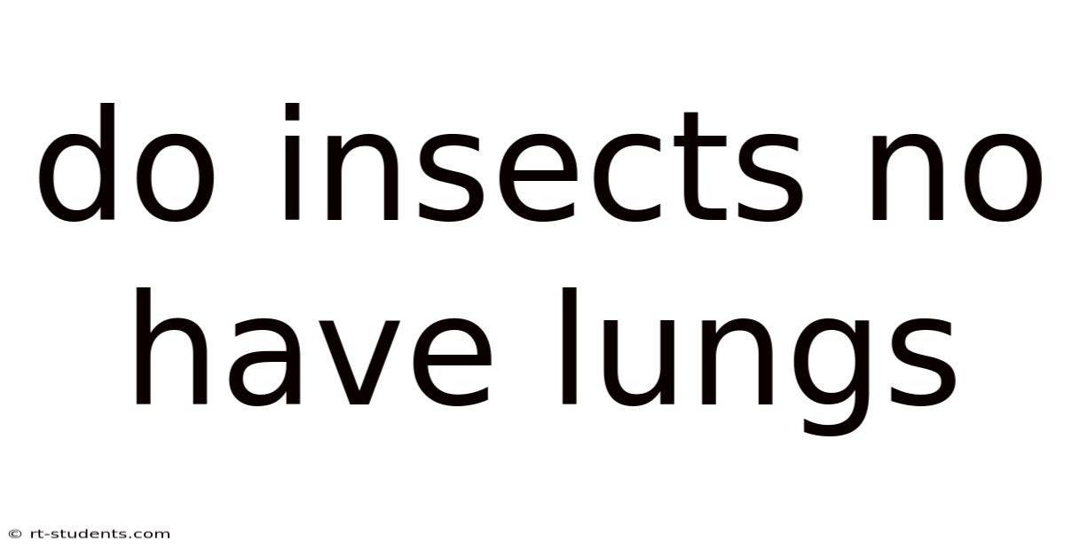 Do Insects No Have Lungs