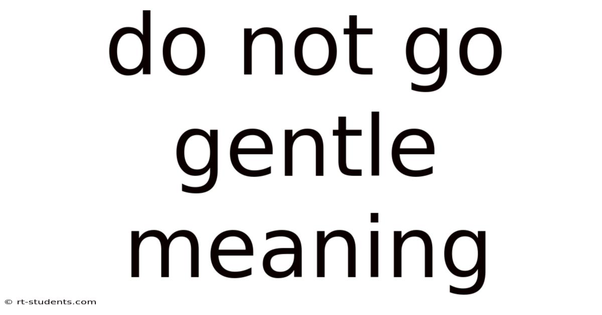 Do Not Go Gentle Meaning