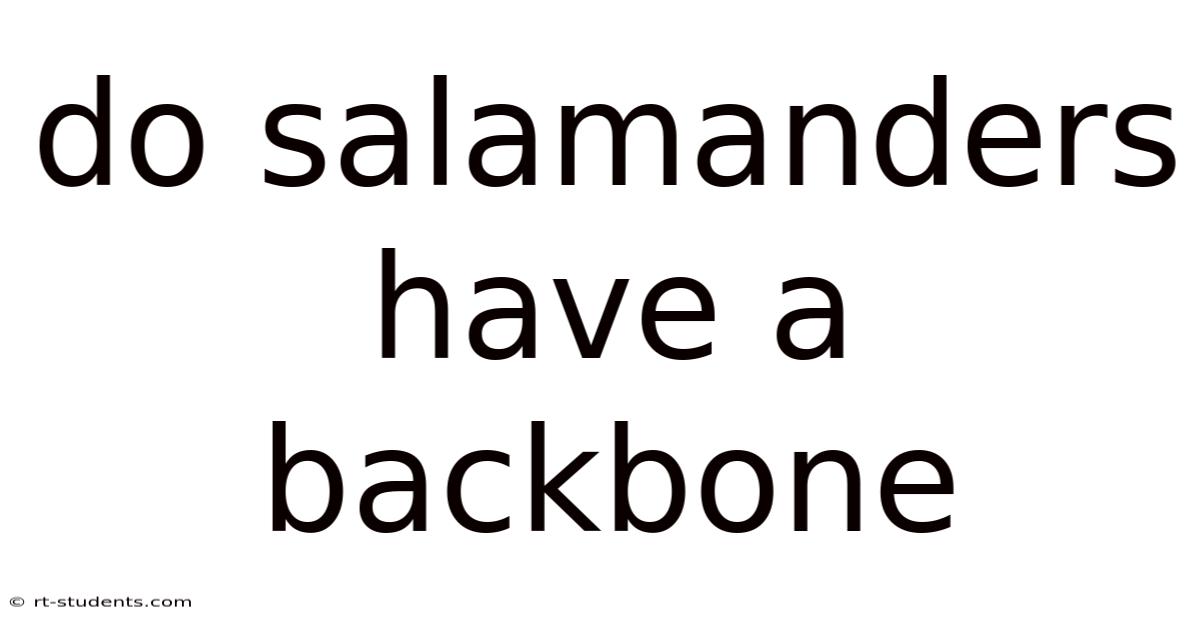 Do Salamanders Have A Backbone