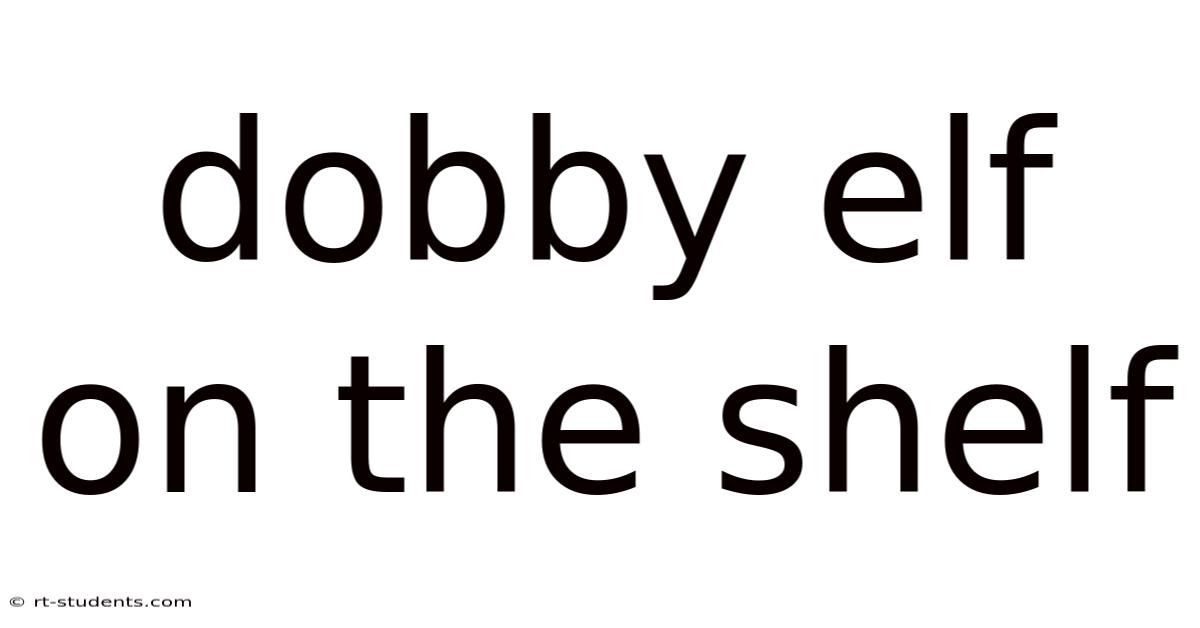Dobby Elf On The Shelf