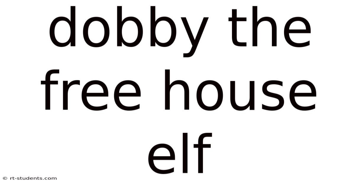 Dobby The Free House Elf