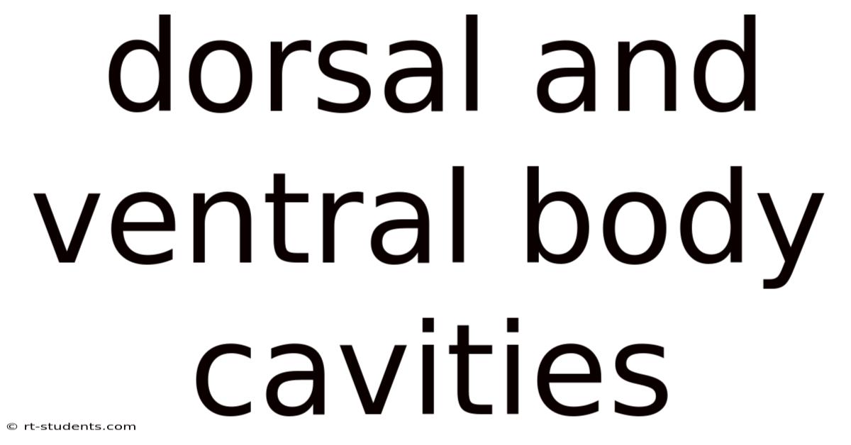Dorsal And Ventral Body Cavities