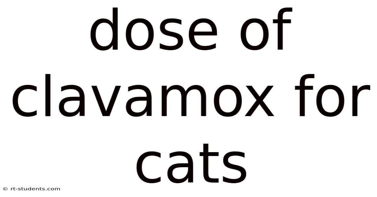 Dose Of Clavamox For Cats
