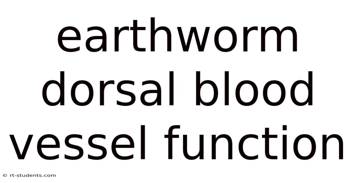Earthworm Dorsal Blood Vessel Function