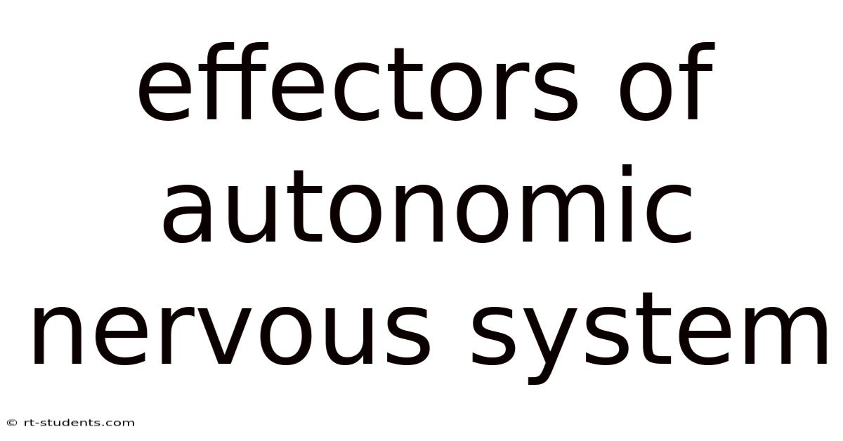 Effectors Of Autonomic Nervous System