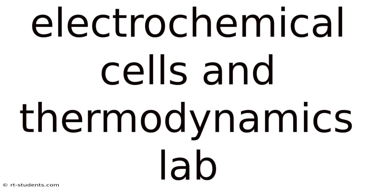 Electrochemical Cells And Thermodynamics Lab