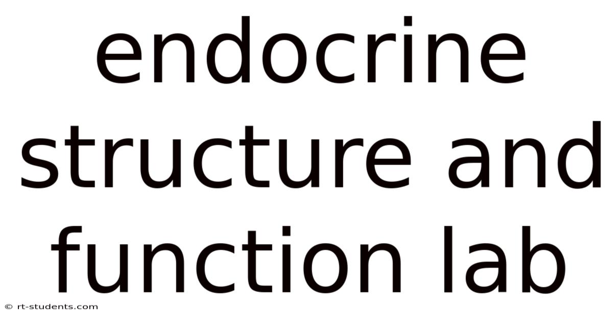 Endocrine Structure And Function Lab