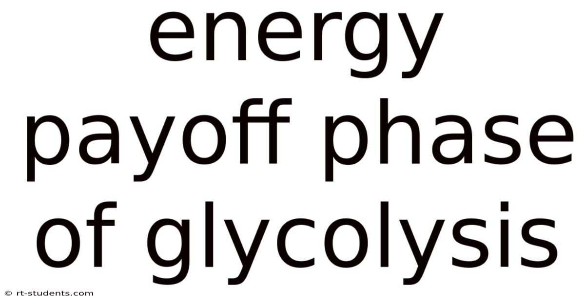 Energy Payoff Phase Of Glycolysis