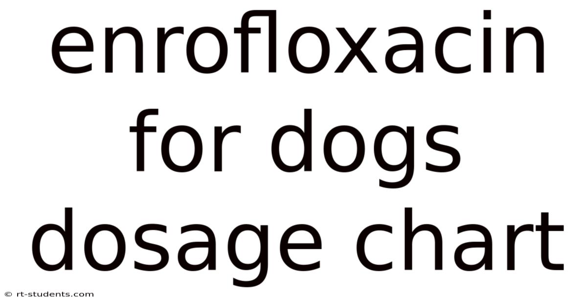 Enrofloxacin For Dogs Dosage Chart